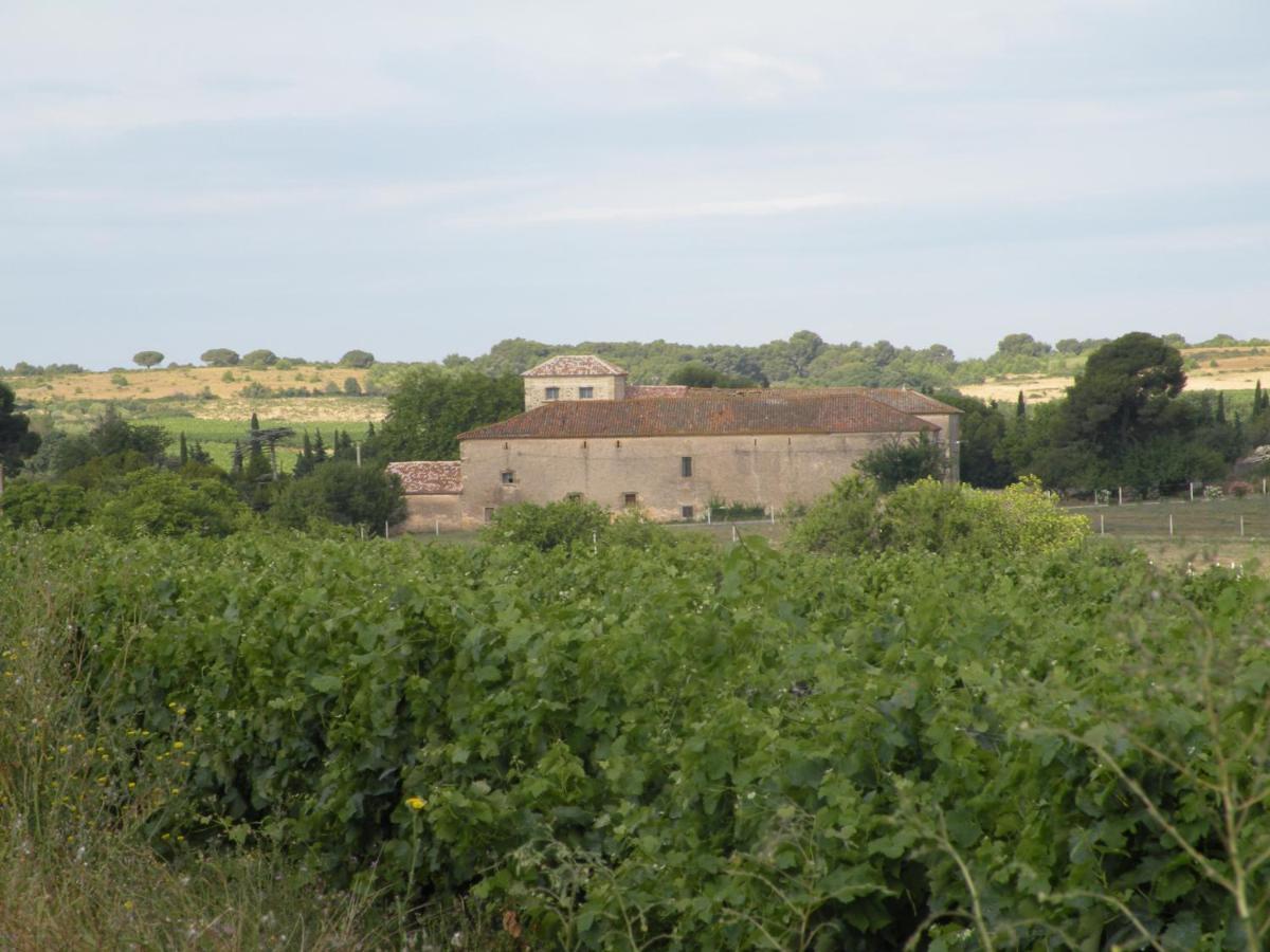 Domaine Les Castans *