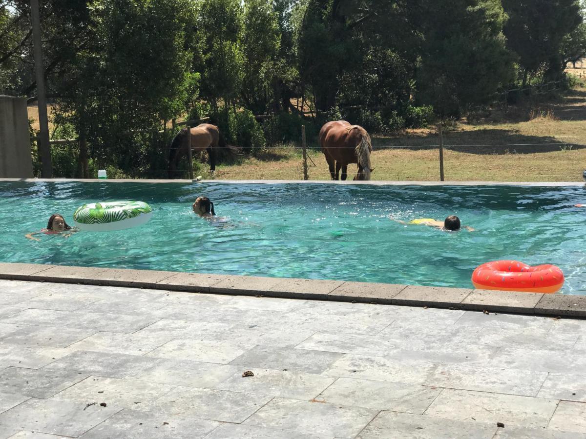 Bed & Breakfast Domaine Les Castans Saint-Thibery